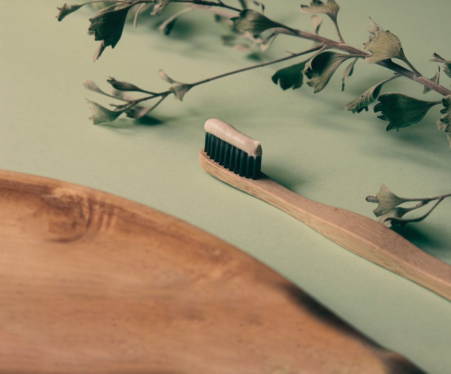 Bamboo toothbrush