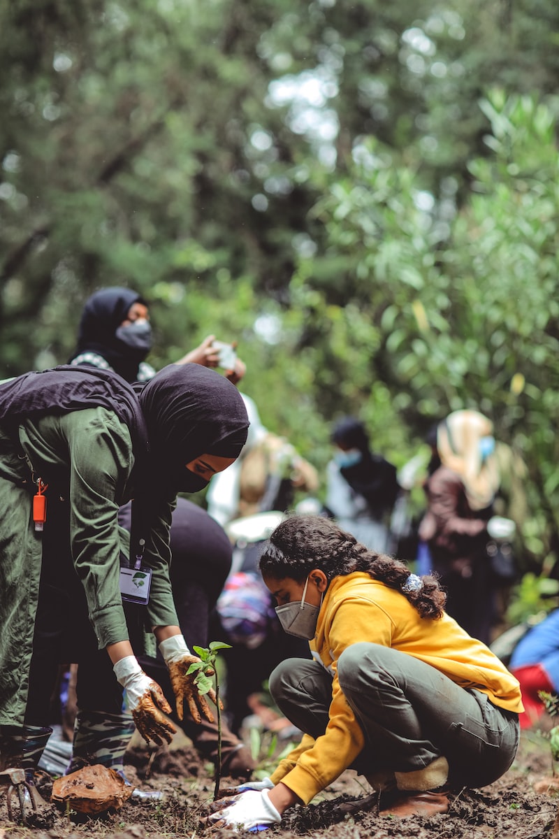 People planting trees